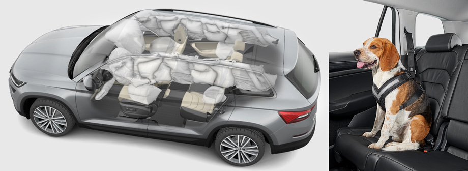 Безопасность