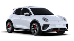 Ora 03 GT АРКТИЧЕСКИЙ БЕЛЫЙ