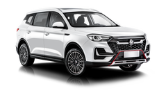 VGV U70 Pro Белая роза