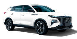 Dongfeng Aeolus Huge Холодный белый