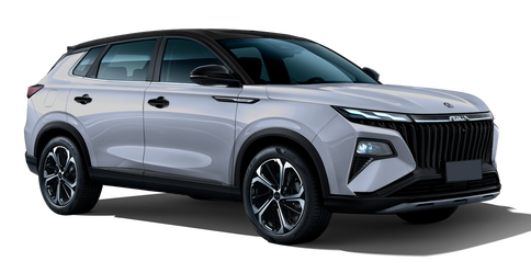 Dongfeng Aeolus Huge Строгий серый  (черная крыша)