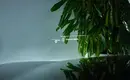 BMW 5 серии